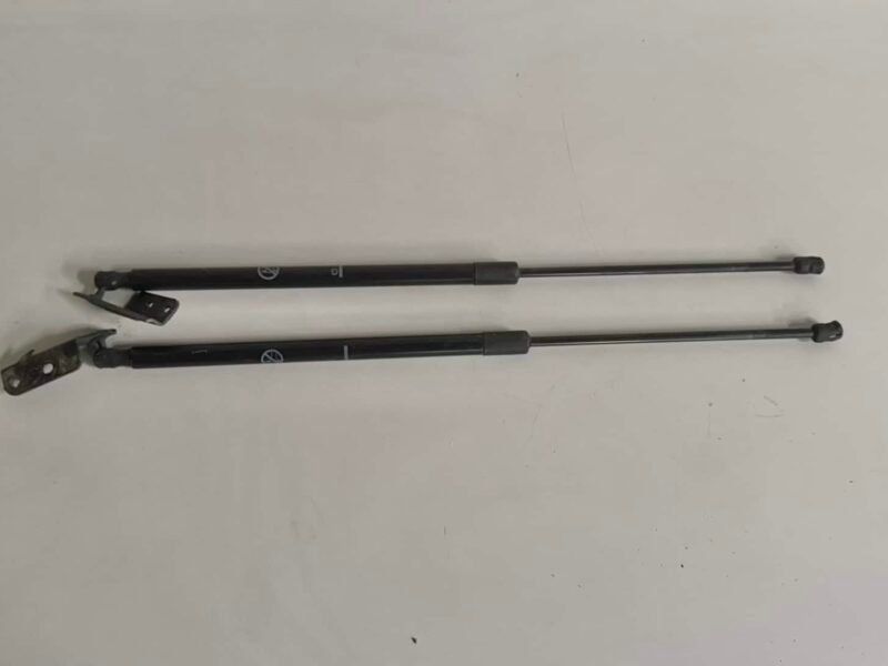 Satz Gasdruckzylinder Heckklappe Ford C-Max 2014 AM51U406A10AF