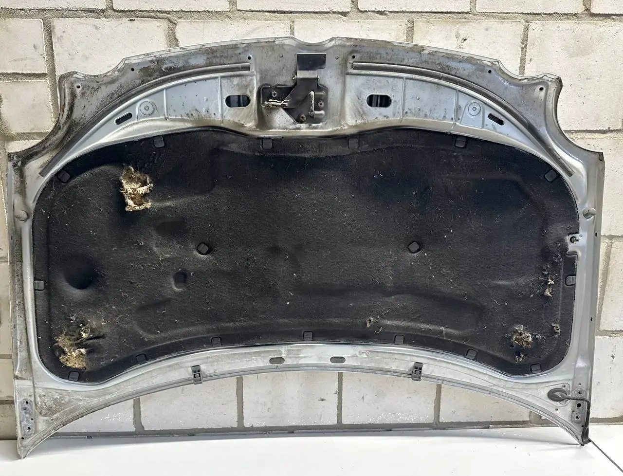 Motorhaube VW Polo 9N1 1,2L 2002 FC: LA7W