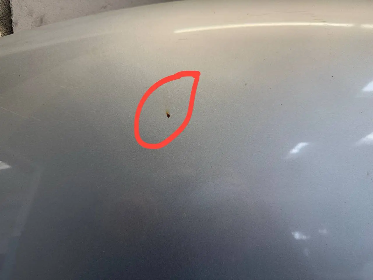 Motorhaube VW Golf Plus 2006 5M1 1,6 FC: LA7W