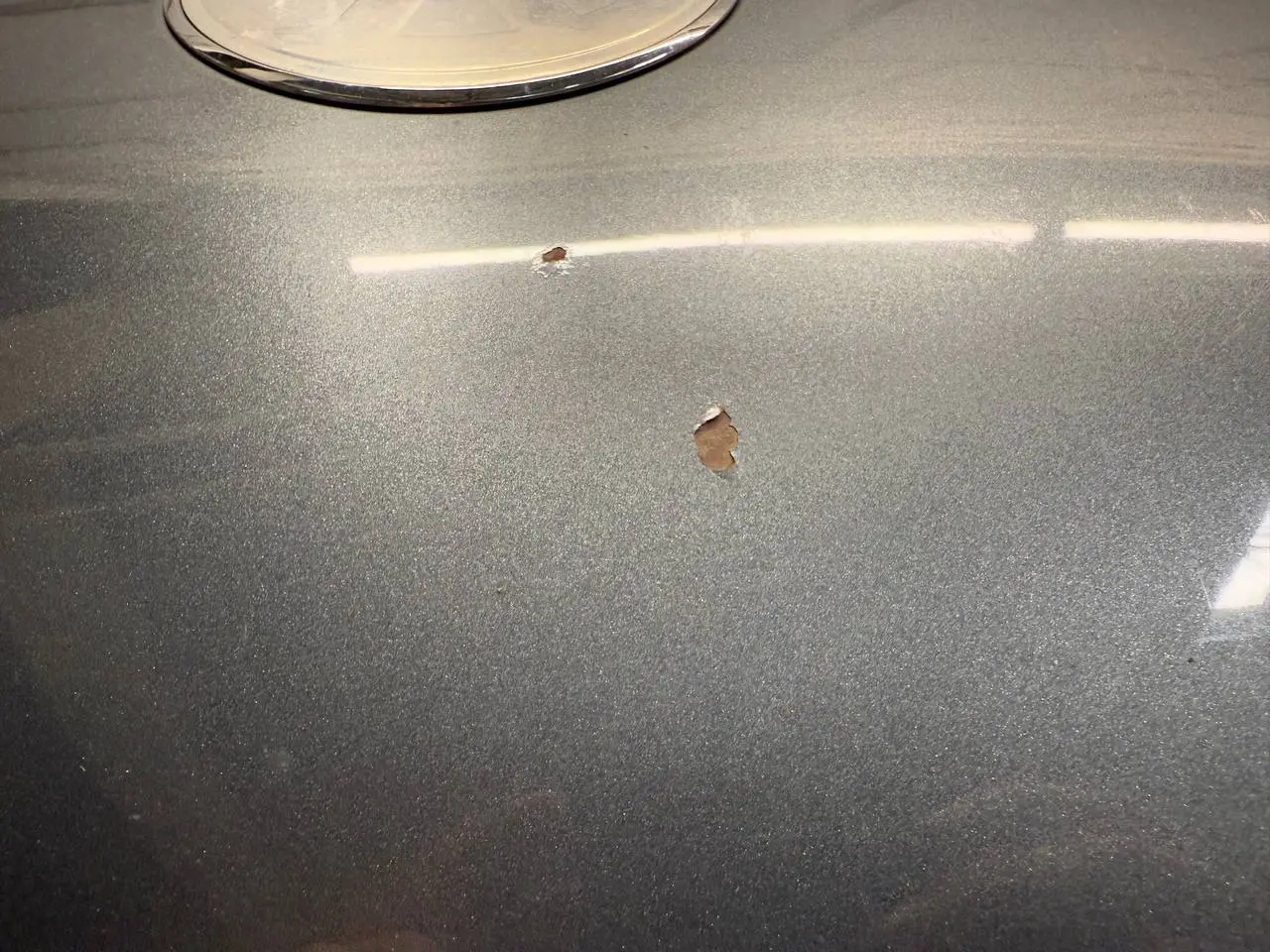 Motorhaube VW New Beetle 1C1 2004 1C0807421 FC: LD7X