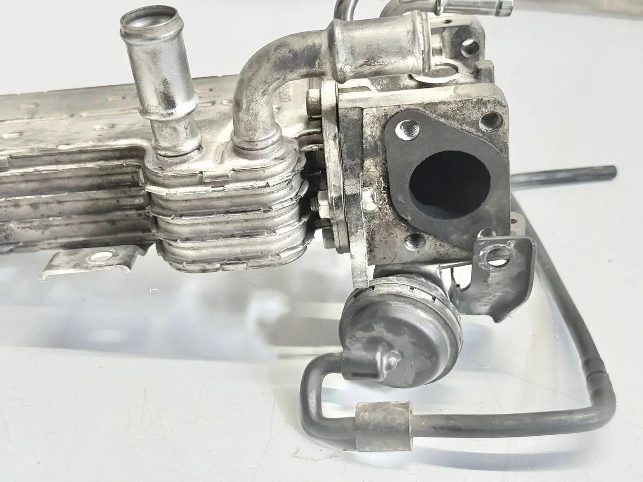 Abgaskühler Kühler AGR Touran SKODA Octavia 1Z5 1,9 TDI 2004 Kombi 039131513AD